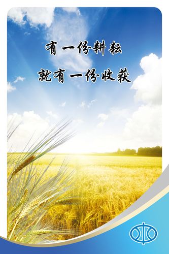 江kaiyun官方网站苏二建考试网官网(江苏人试考试网二建)